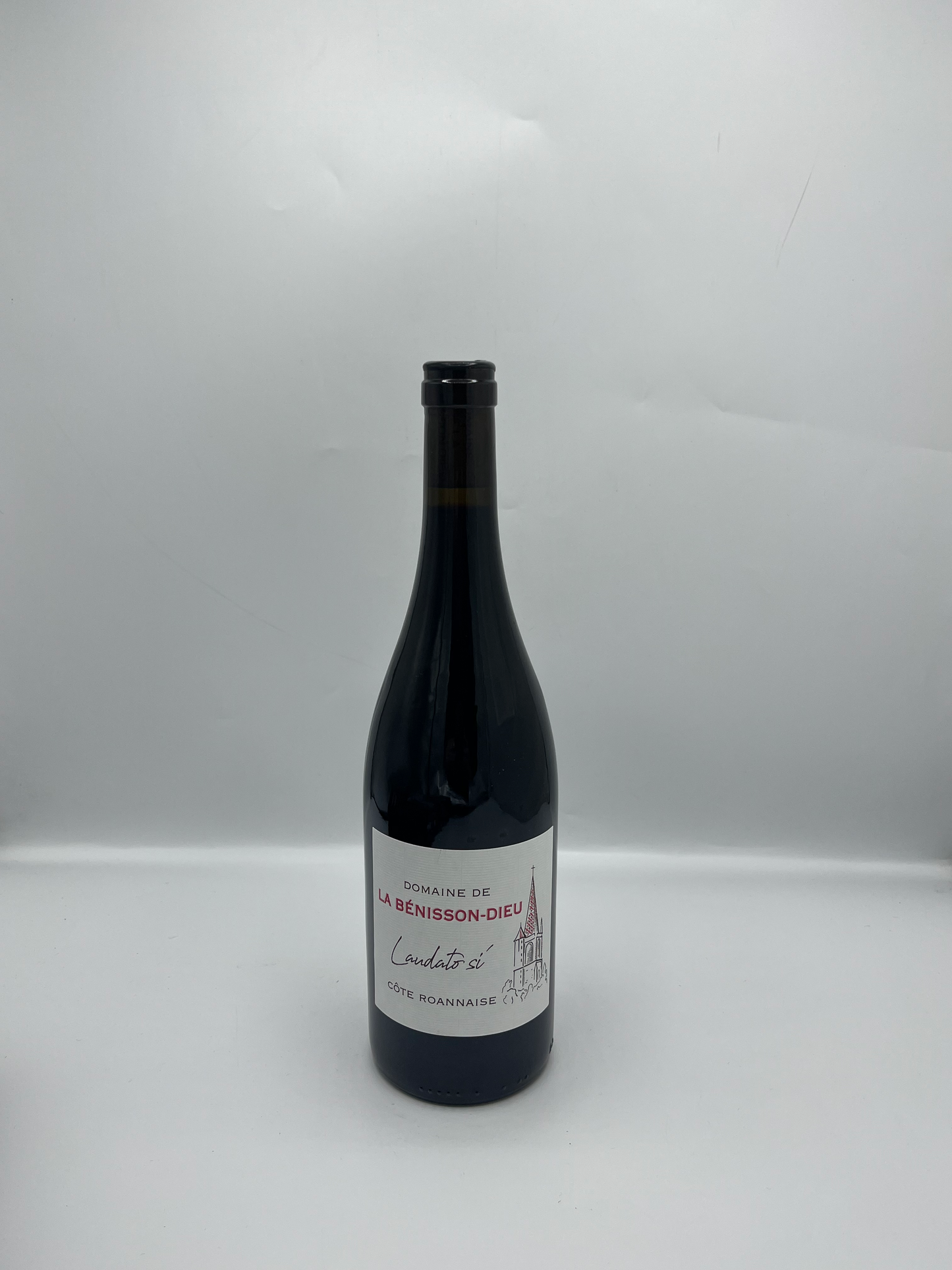 Côte Roannaise "Laudato Si" 2022 Red - Domaine de la Bénisson Dieu
