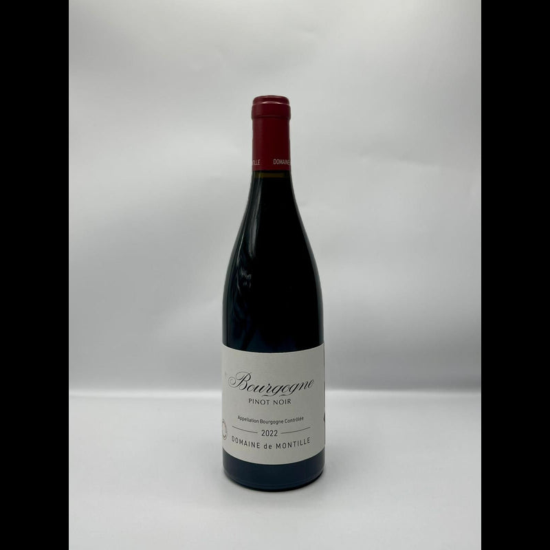 Bourgogne Pinot Noir Bio - 75cL - 2022