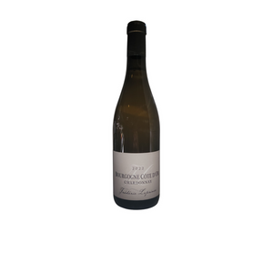Côte d'Or Chardonnay - Borgonha Côte d'Or - Branco - 75cL - Frédéric Leprince - 2022