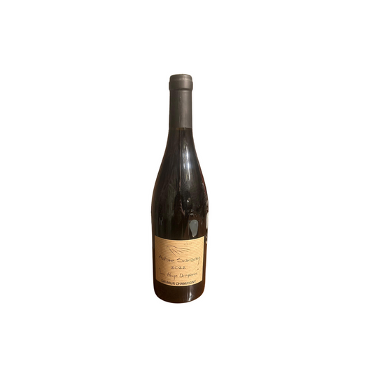 La Haye Dampierre - Saumur-Champigny - Rouge - 75cL - Antoine Sanzay - 2022