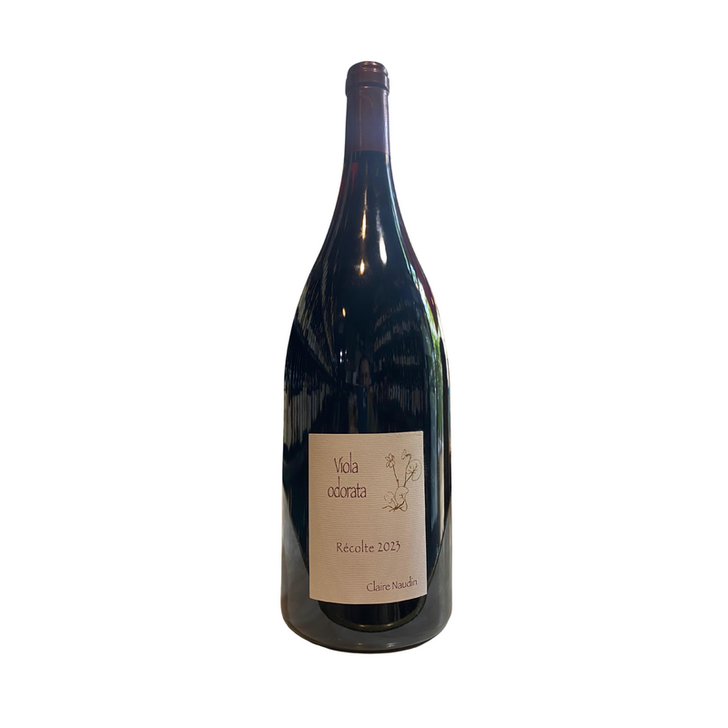 VIOLA Odorata Côte de Nuits-Villages - Rouge - 1.5L - Domaine Henri Naudin-Ferrand - 2023