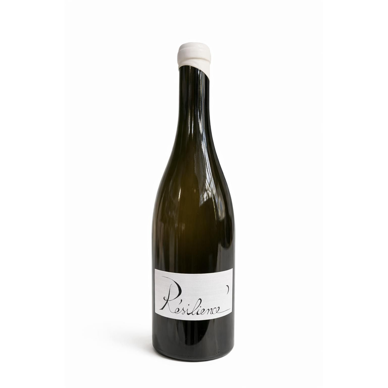 Chignin Bergeron "Résilience" - Vin de Savoie - Blanc - 75cL - Giles Berlioz - 2023