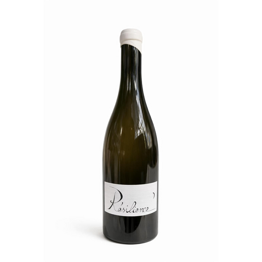 Chignin Bergeron "Résilience" - Vin de Savoie - Blanc - 75cL - Giles Berlioz - 2023