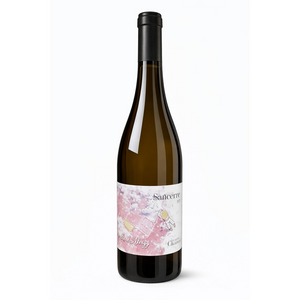 Sancerre Les Champs d'Alligny - Rouge - 75cL - Daniel Chotard - 2022