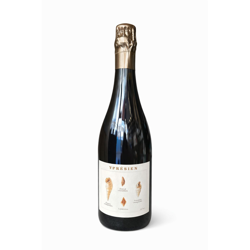 Ypresien Brut Nature - Champagne - Blanc - 75cL - Champagne Legrand-Latour - 2021