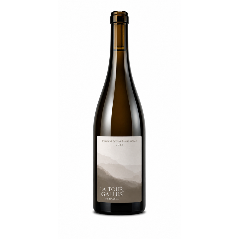 La Tour Gallus - Muscadet Sèvre et Maine - Blanc - 75cL - La Tour Gallus - 2023