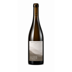 La Tour Gallus - Muscadet Sèvre et Maine - Blanc - 75cL - La Tour Gallus - 2023