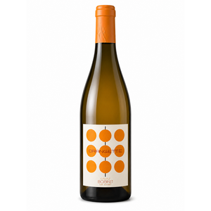 Orangette - Vin de France - Orange - 75cL - Calvez Bobinet - 2025