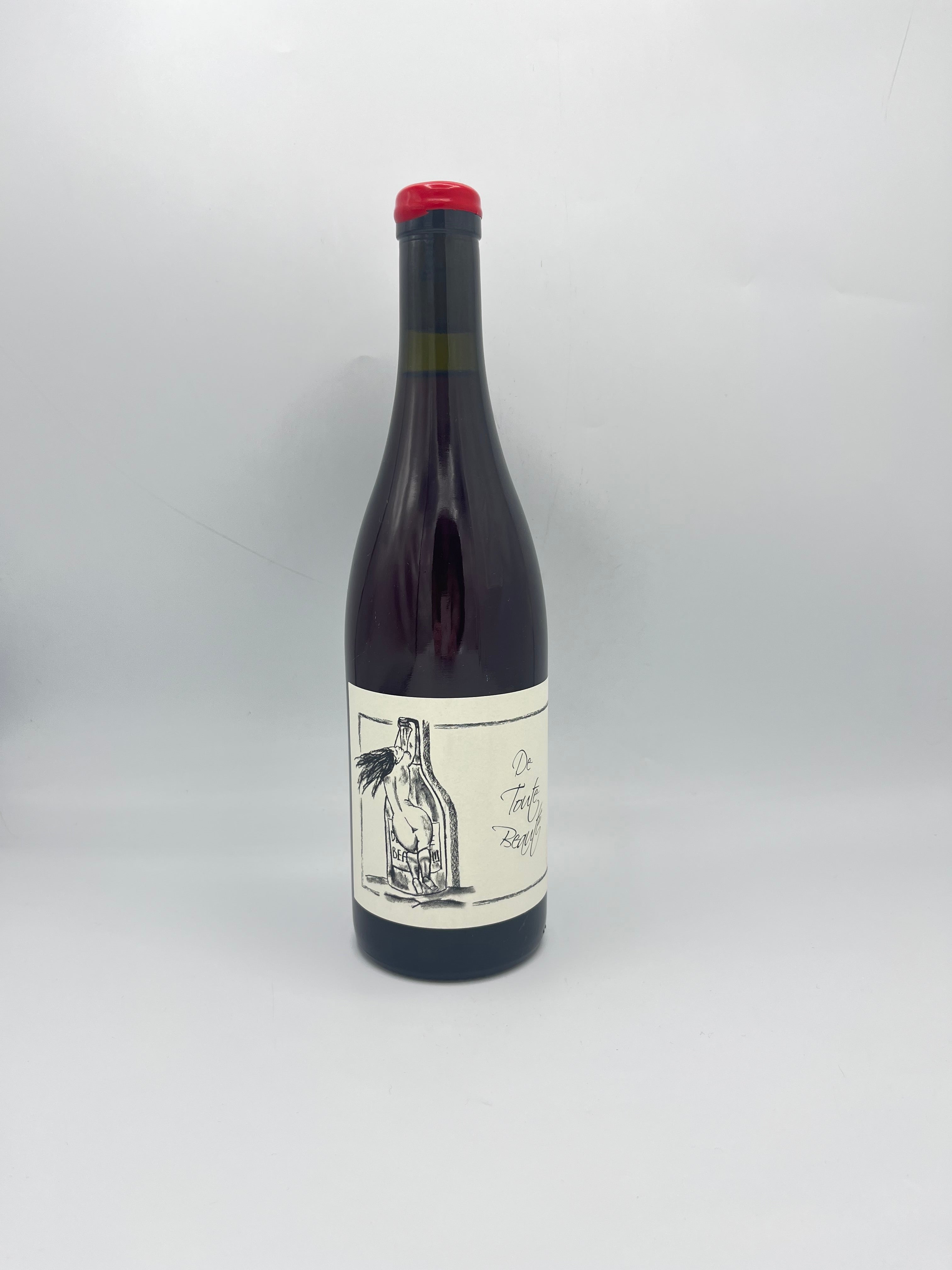 De Toute Beauté - Vin de France - Rouge - 75cL - Anne et Jean-Francois GANEVAT - 2024