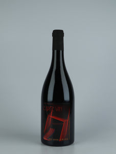 VDF "L'Ange Vin: Nocturne" 2022 Rouge - Jean Pierre Robinot