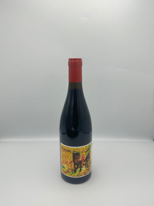 Portugal Dão "Ainda" 2022 Rouge - António Madeira