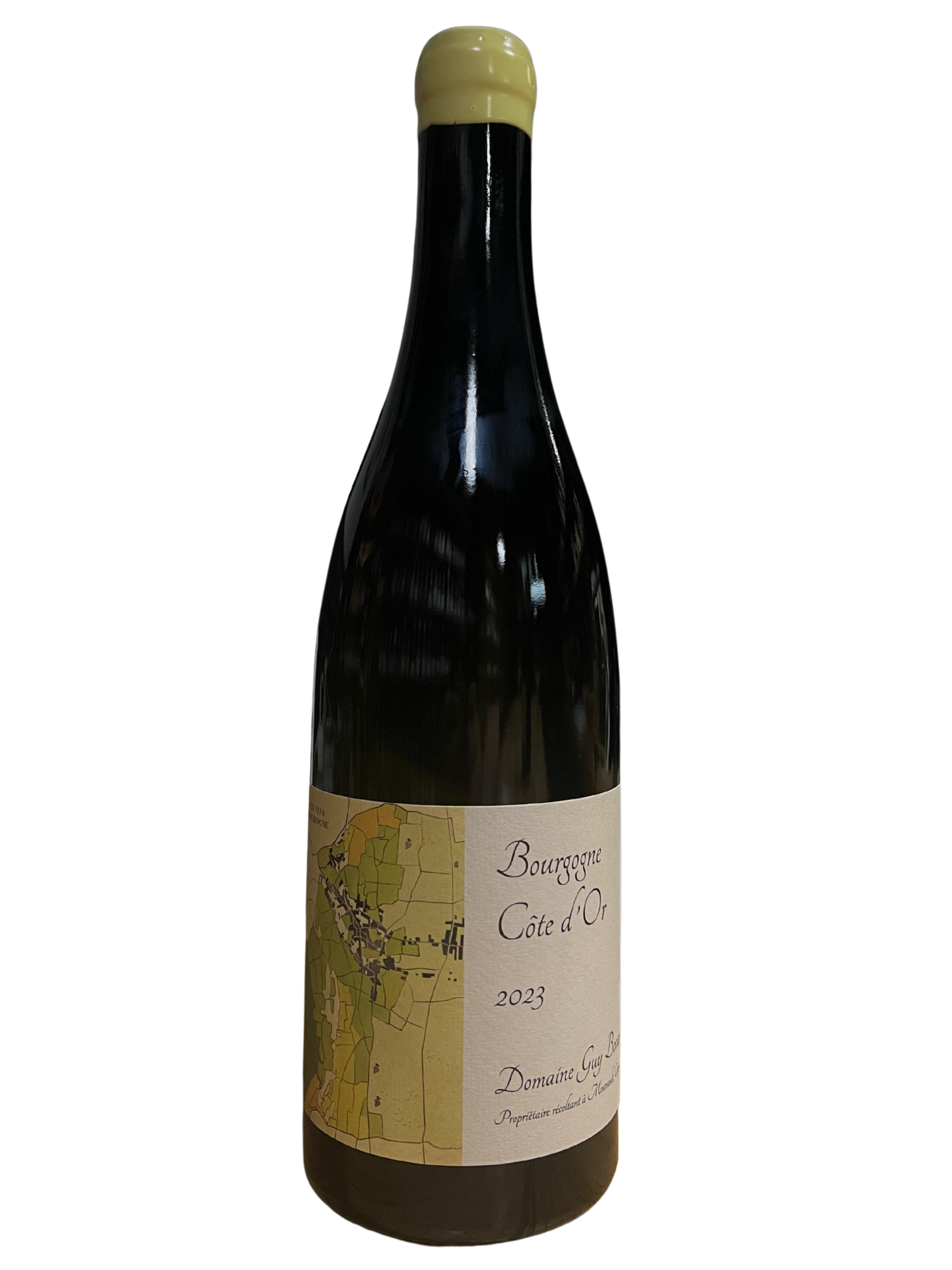 Bourgogne COTE D'OR blanc - Blanc - 75cL - Domaine Guy Bocard - 2023